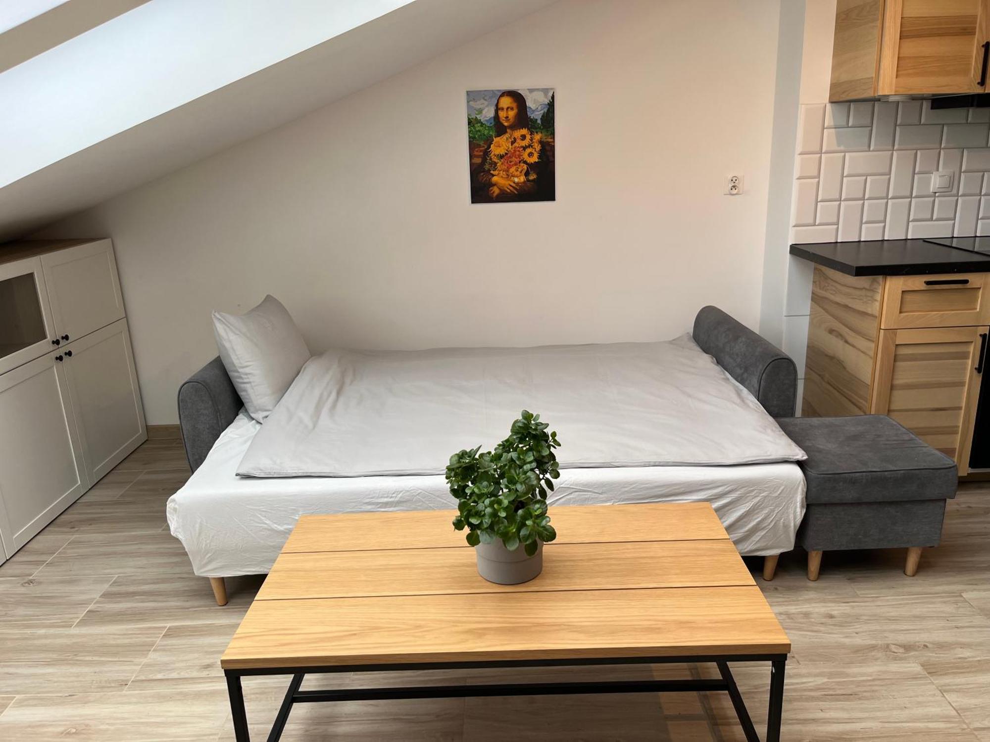 Feelhome Apartment With Kitchen Cracovia Esterno foto